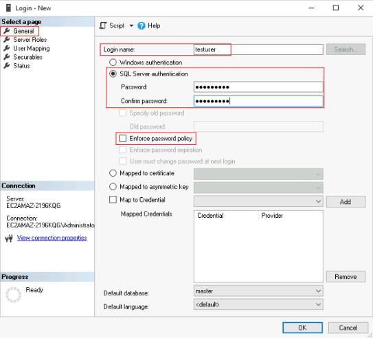 Setting up the User in SQL Server.